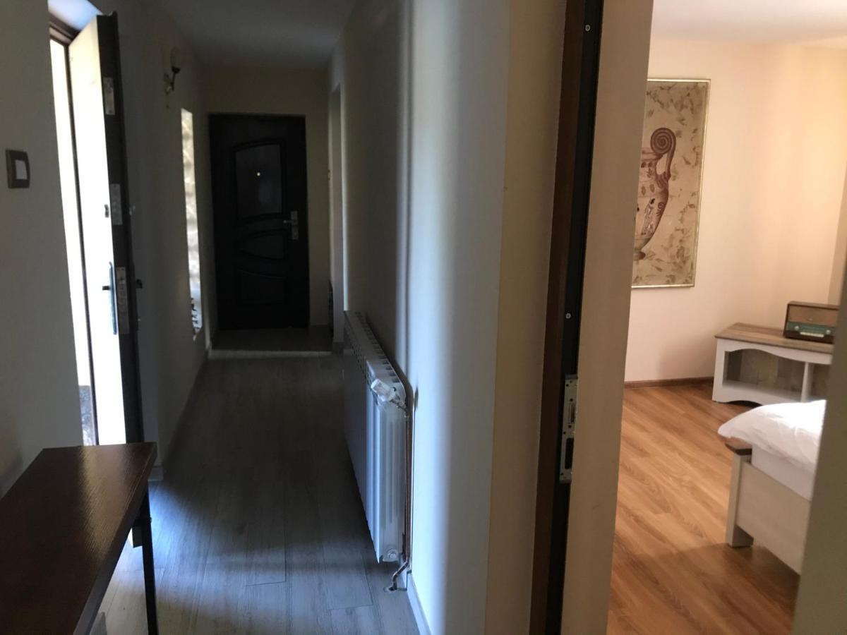Apartament La Vila Куртя-де-Арджеш Екстер'єр фото