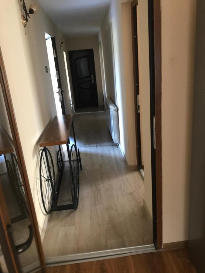 Apartament La Vila Куртя-де-Арджеш Екстер'єр фото