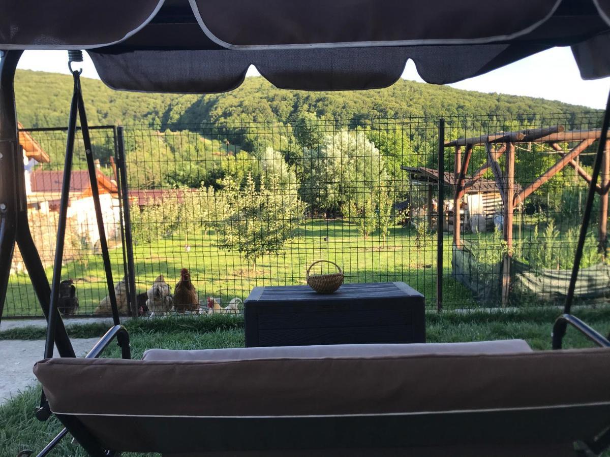 Apartament La Vila Куртя-де-Арджеш Екстер'єр фото