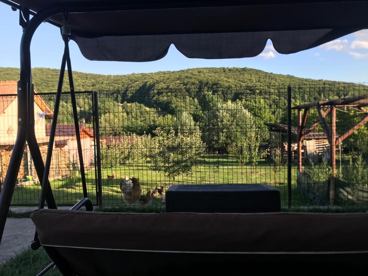 Apartament La Vila Куртя-де-Арджеш Екстер'єр фото