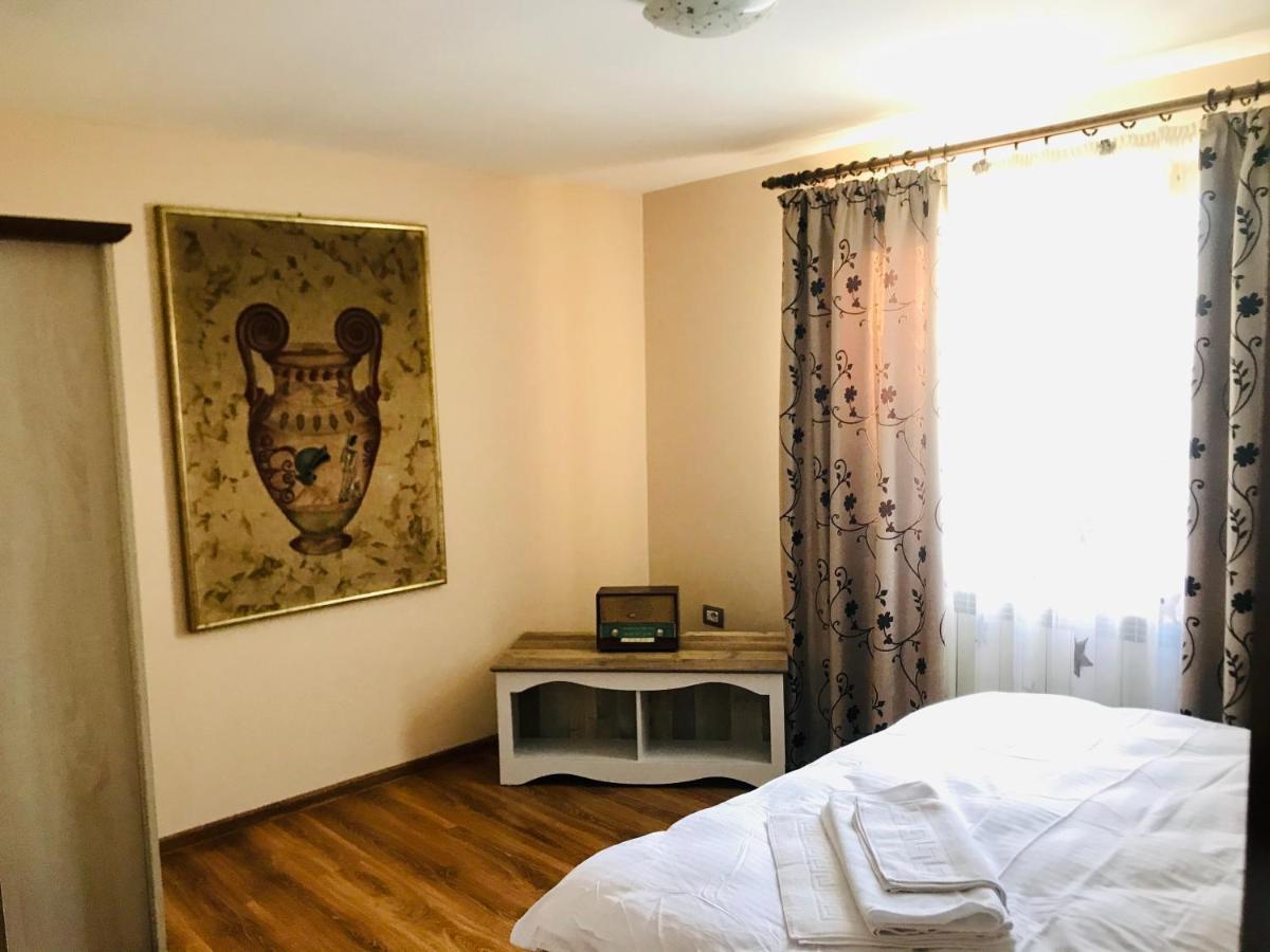 Apartament La Vila Куртя-де-Арджеш Екстер'єр фото